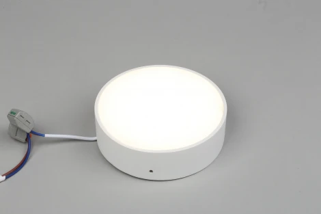 Потолочный светильник круглый Aployt Evon APL.0113.09.12 (LED, 220V, круглые)