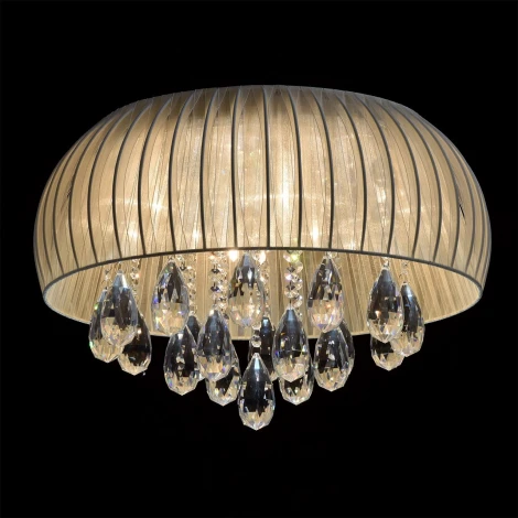 Потолочная люстра MW-Light Жаклин 465015009