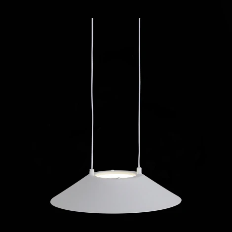 Подвесной светильник ST Luce Pitto SL427.503.01