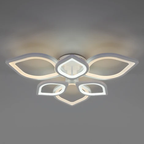 Потолочная люстра Eurosvet Garden 90228/6 белый