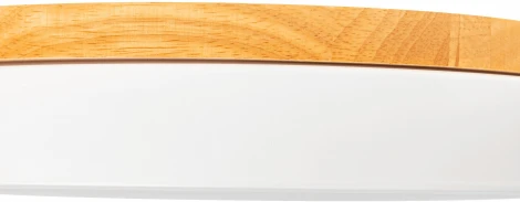 Светильник потолочный светодиодный Ritter Snello 51623 5