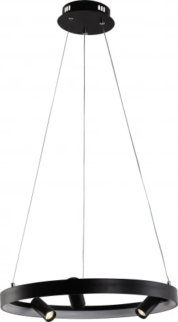 Подвесной светильник со спотами Rivoli Selena 6147-101 (регулировка яркости, LED, 220V, пульт управления, на тросе, круглые)