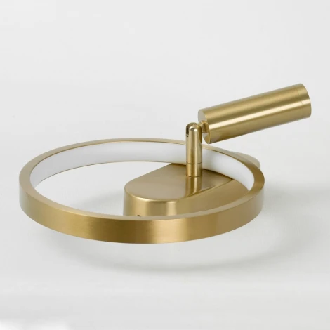 Настенный светильник со спотом Lussole Clay LSP-7239 (LED, 220V)