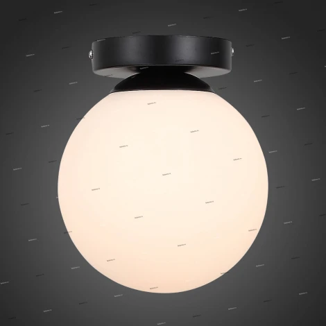 Настенно-потолочный светильник ST Luce Acini SL717.401.01