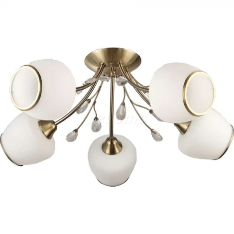 Collezioni Rumba TC-110-405