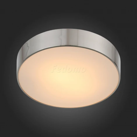 Настенно-потолочный светильник ST Luce Bagno SL468.502.02