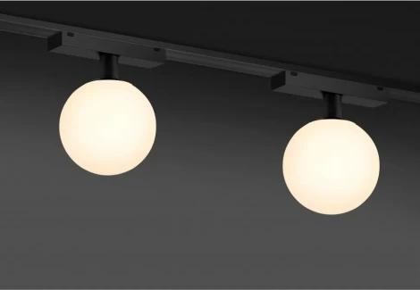 Трековый светильник магнитный 48V iLedex Vision48/25 4825-046-D120-6W-340DG-3000K-BK (шар)