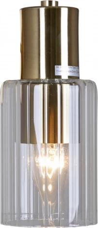 Потолочная люстра на штанге Reluce 74647-0.3-08 (220V)