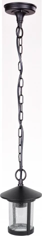 Уличный светильник подвесной Oasis Light CORDOBA 18205 Bl