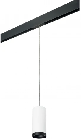 Трековый светильник однофазный 220V Lightstar Rullo PRORP64863487 (круглые)