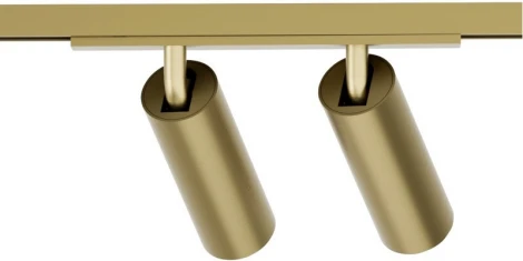 Трековый светильник для магнитного шинопровода Denkirs Shine Spot DK5742-SB 48V 8W*2 сатинированная латунь (LED, круглые)