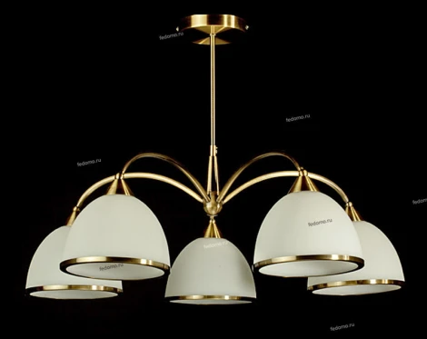Brizzi 02269 MA02269С/005