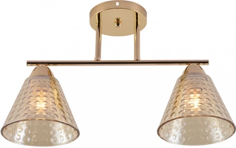 Потолочная люстра на штанге Seven Fires Fabius SF3391/2C-FGD-CL