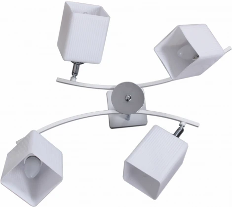 Спот Reluce 03323-0.3-04N (220V)