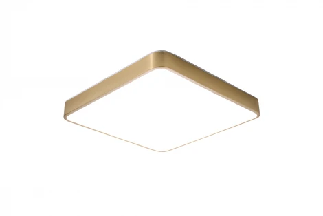 Потолочный светильник Zortes Monna ZRS.1209.03 (LED, 220V)