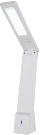 Офисная настольная лампа Elektrostandard Desk TL90450