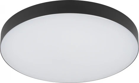 Потолочный светильник круглый светодиодный ЭРА Relict 38 SPB-6-40 4К BK (220V, круглые)