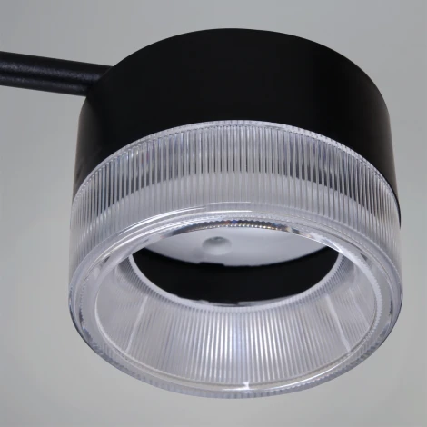 Подвесная люстра Reluce 19490-0.4-6+6 Black