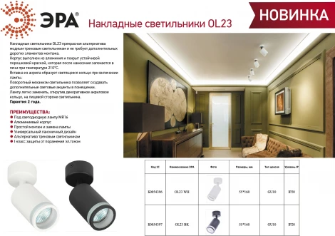 Спот ЭРА OL23 BK (220V)