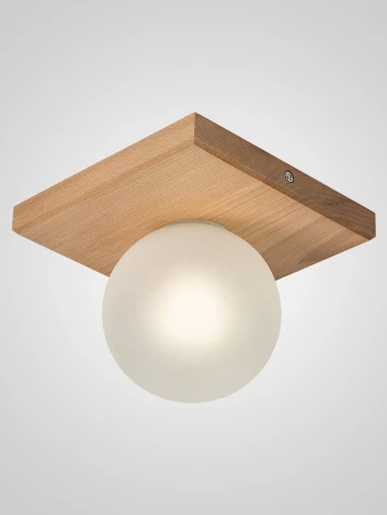 Потолочный светильник Мелодия Света SS1N 6426N-1 NL 000067477