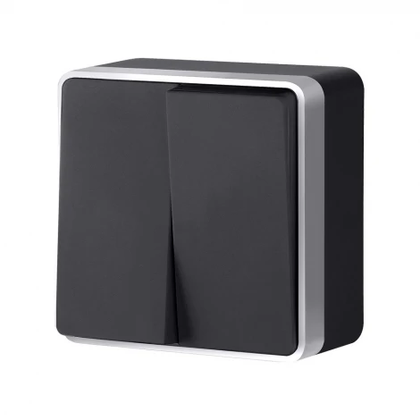 Выключатель двухклавишный Gallant Werkel W5020034 (черный с серебром)