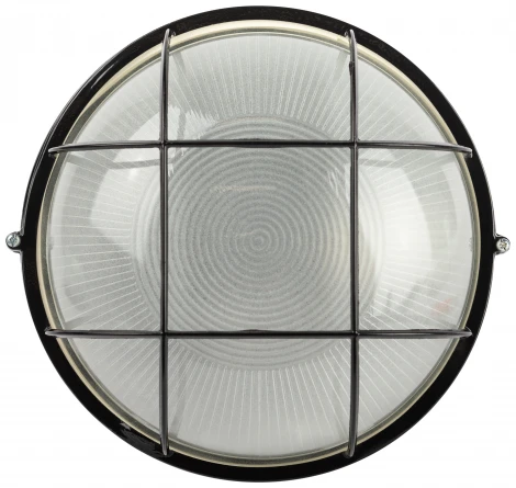 Настенно-потолочный светильник ЭРА НБП 03-100-002 в инд. упаковке НБП 03-100-002 черный