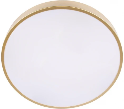 Потолочные светильники Loft It Flims 10228/A (LED, 220V, круглые)