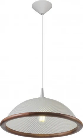 Подвесной светильник Мелодия Света 000061870