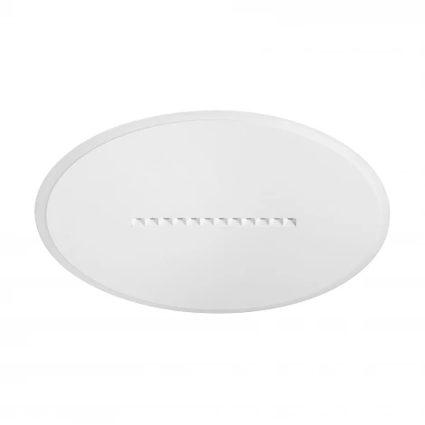 Потолочный светильник Freya Shine FR6105CL-L73W
