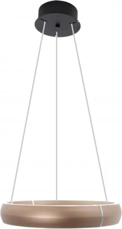 Подвесной светильник светодиодный с регулировкой цветовой температуры Mizi'en Impulse MZ31507-500 (220V, на тросе, кольцо)