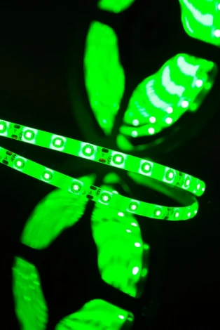 Светодиодная лента SWG SWG360-12-4.8-G-65