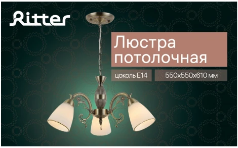 Подвесная люстра Ritter Firenze 52547 9
