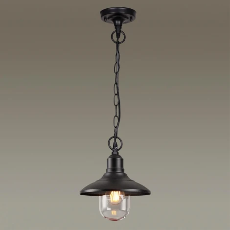 Уличный светильник подвесной Odeon Light Campa 4965/1 (220V, на цепи, круглые, IP44)
