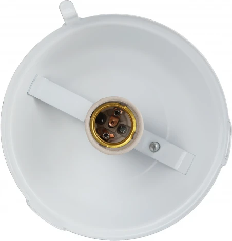 Подвесной светильник ЭРА НСП 02-100-001 (220V, IP54)