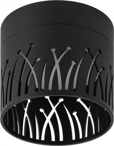 Точечный светильник ЭРА OL54 BK (220V)