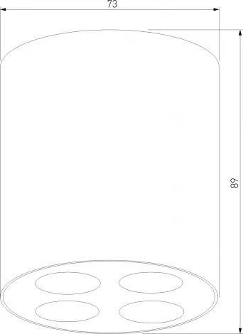 Светильник потолочный светодиодный Elektrostandard Points 25111/LED черный (220V, круглые)