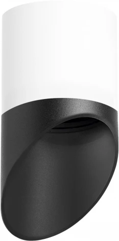 Светильник точечный накладной Lightstar Rullo R348687 (220V, круглые)