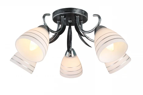 Потолочная люстра J-Light 1255 1255/5C