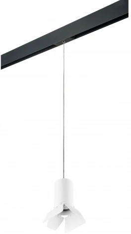 Трековый светильник однофазный 220V Lightstar Rullo PRORP436436