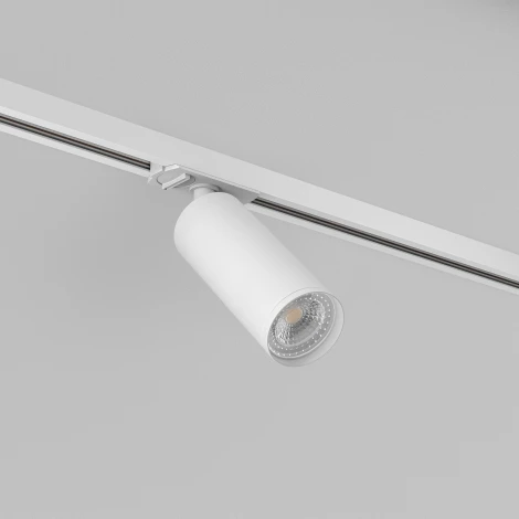 Трековый светильник Denkirs DK620 DK6202-WH (220V, круглые)