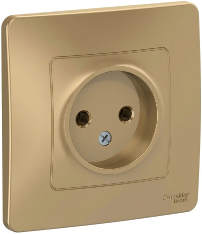 Розетка встраиваемая без заземления (титан) Systeme Electric Blanca BLNRS000014