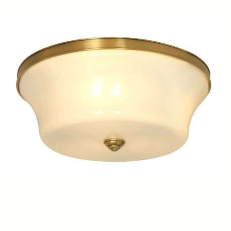 Потолочный светильник круглый Cloyd Parade 10014 (220V)