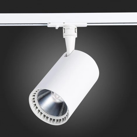 Трековый светильник ST Luce Cami ST351.536.30.24 (LED, 220V, круглые, IP22)