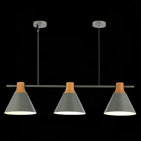 Подвесной светильник Evoluce Modica SLE125113-03 (220V, на тросе)