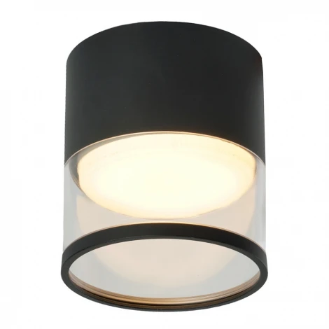 Потолочный светильник встраиваемый Feron HL454 48751