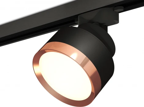 Трековый светильник Ambrella Track System XT8102005 (220V, круглые)