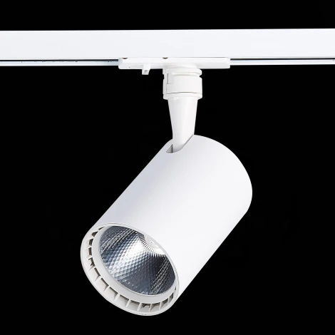 Трековый светильник ST Luce Cami ST351.536.15.24 (LED, 220V, круглые, IP22)