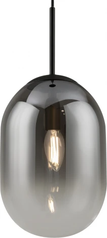 Подвесной светильник Freya Tesse FR1011PL-01B1 (220V, на проводе)