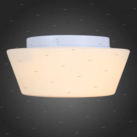 Потолочный светильник ST Luce Adatto SL296.502.02