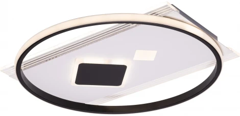 Потолочная люстра светодиодная с ДУ Ritter Pensata 52308 0